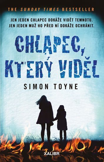 Chlapec, který viděl – Toyne Simon (2019)