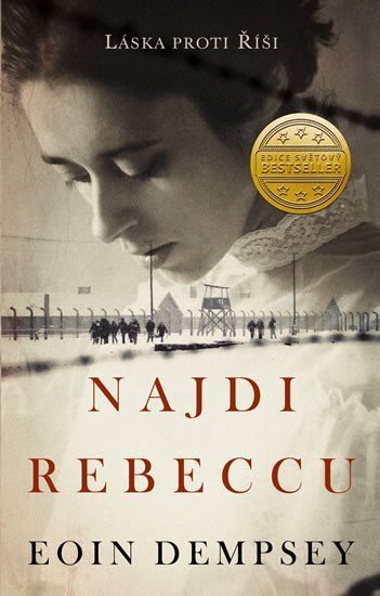Najdi Rebeccu – Dempsey Eoin