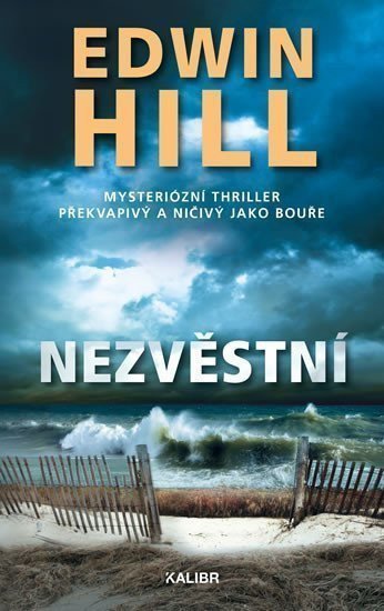 Nezvěstní – Hill Edwin
