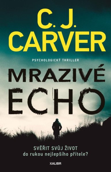 Mrazivé echo – Carver C. J. (2020)