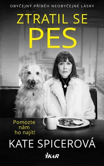 Ztratil se pes – Spicerová Kate (2020)