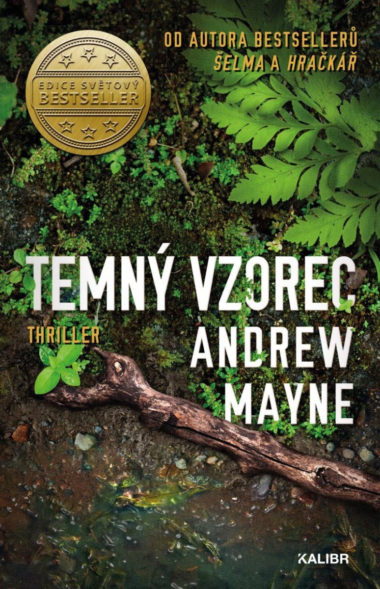 Temný vzorec – Mayne Andrew