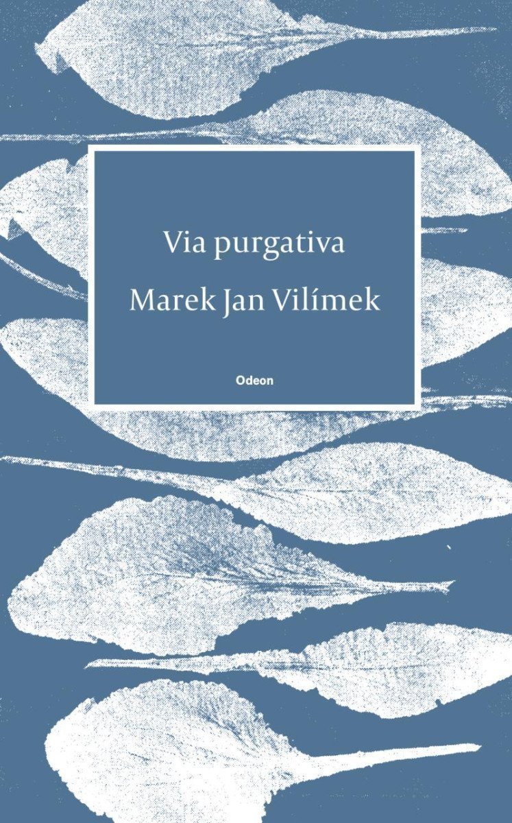Via purgativa – Vilímek Marek Jan