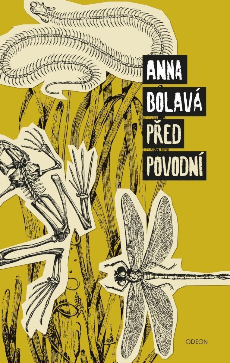 Před povodní – Bolavá Anna