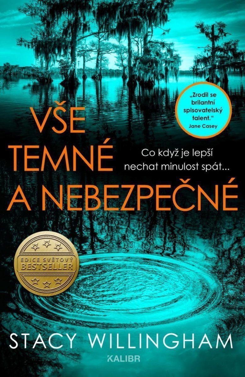 Vše temné a nebezpečné – Willingham Stacy