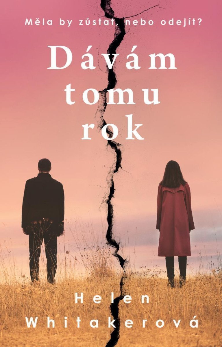 Dávám tomu rok – Whitakerová Helen