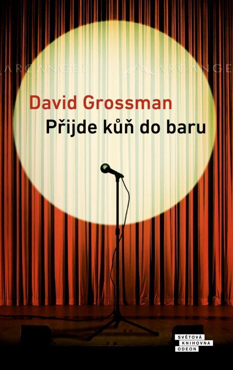 Přijde kůň do baru – Grossman David