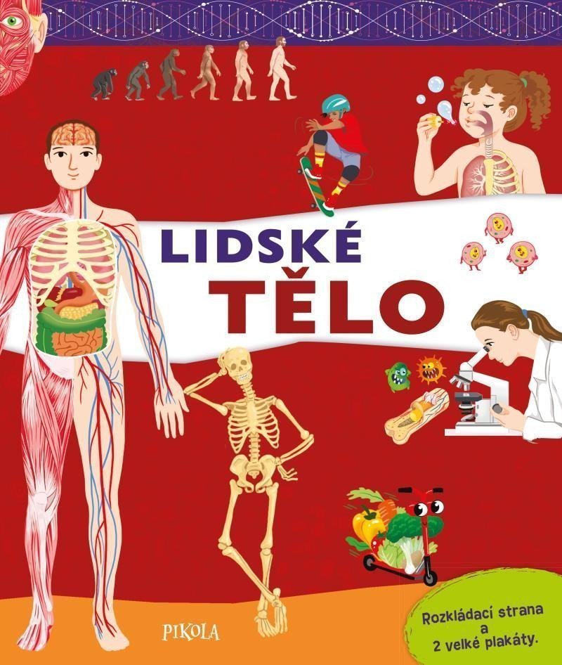Lidské tělo – Claude JM