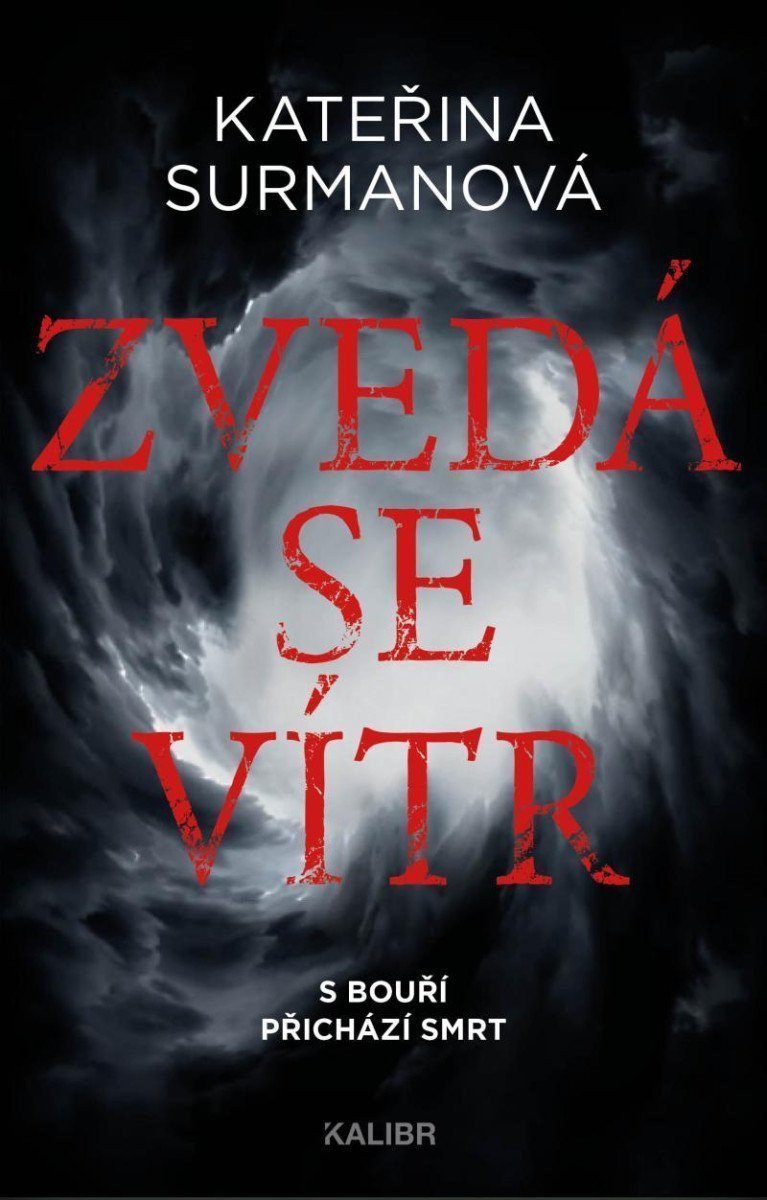 Zvedá se vítr – Surmanová Kateřina