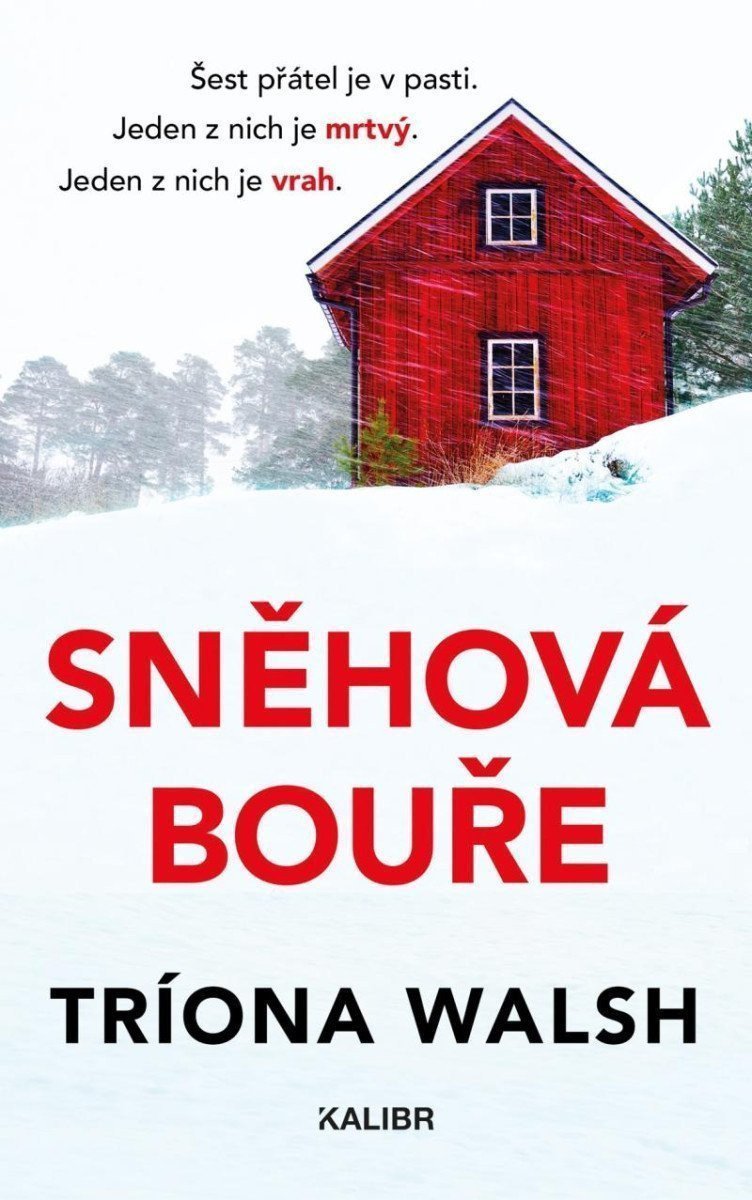 Sněhová bouře – Walsh Tríona