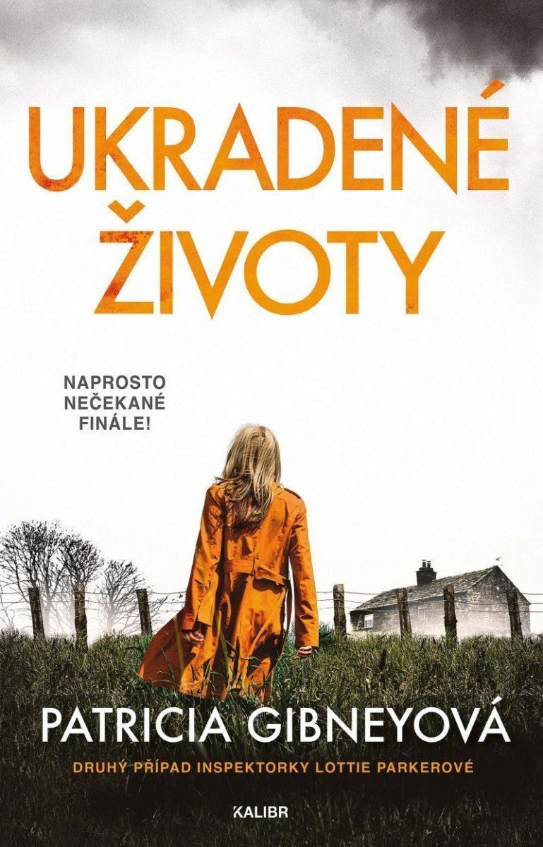 Ukradené životy – Gibneyová Patricia
