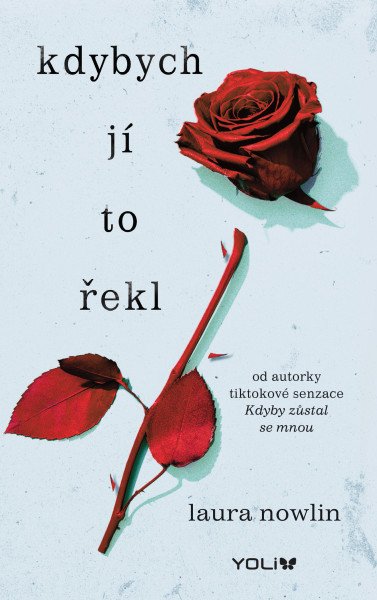 Kdybych jí to řekl – Nowlin Laura (2025)