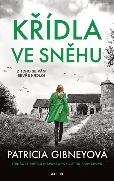 Křídla ve sněhu – Gibneyová Patricia (2026)