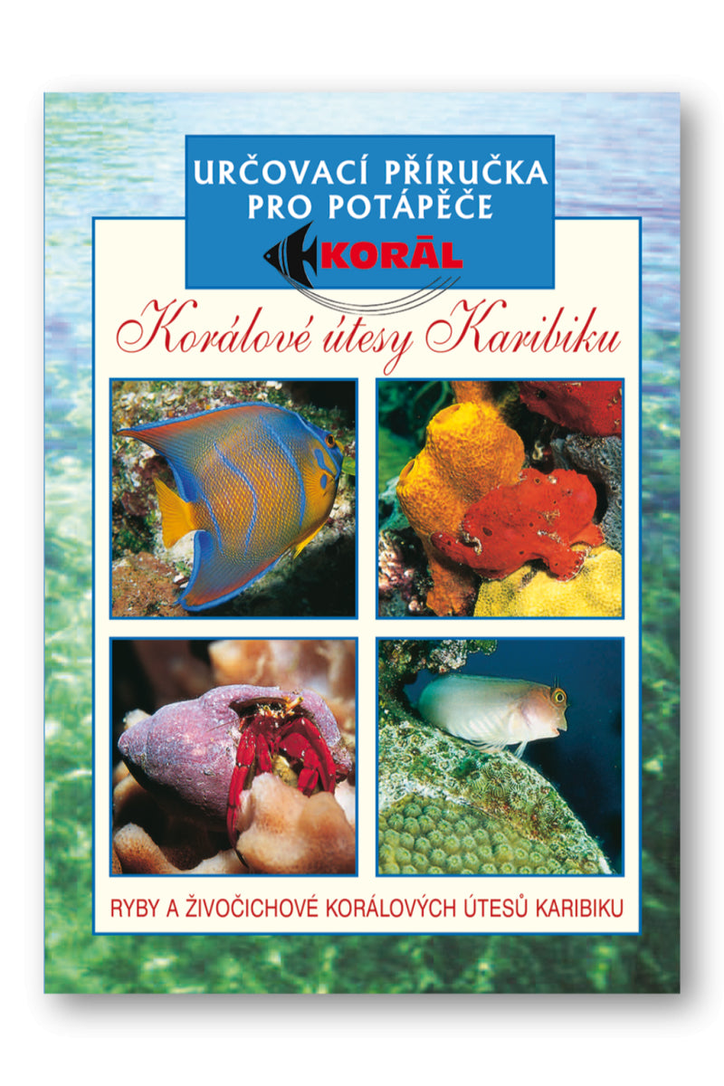 Korálové útesy v karibiku - Určovací příručka pro potapěče - Ryby a živočichové korálových útesů Karibiku