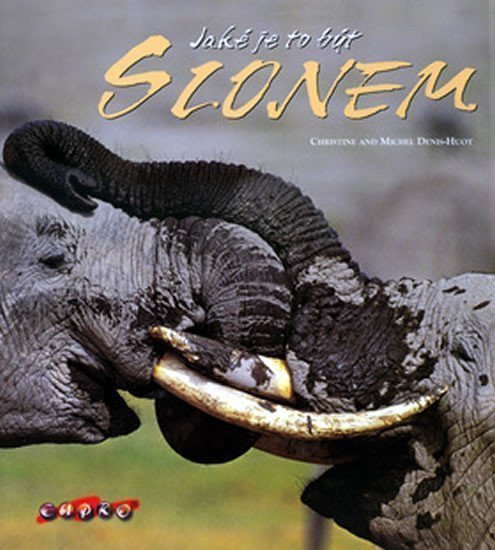 Jaké je to být slonem – Denis-Huot Michel