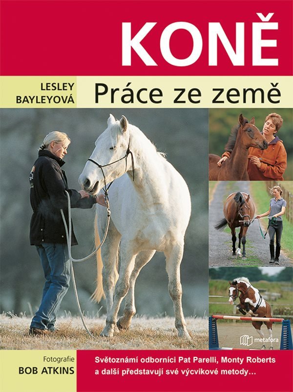 Koně - práce ze země – Bayleyová Lesley