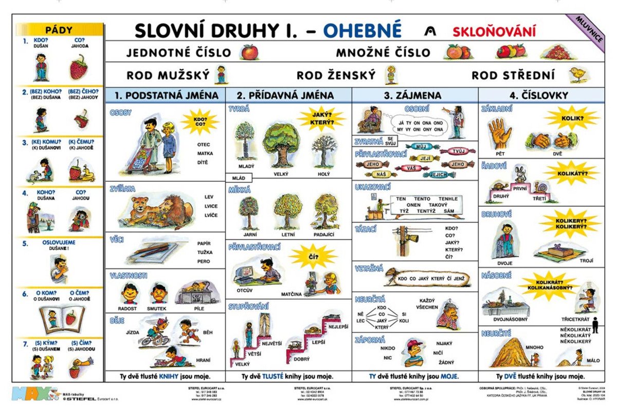 Slovní druhy - Slovesa