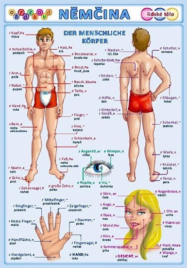 Obrázková němčina 3 - Lidské tělo – kolektiv autorů