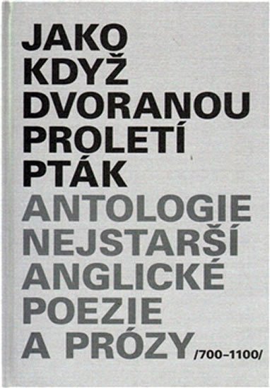 Jako když dvoranou proletí pták – group of authors