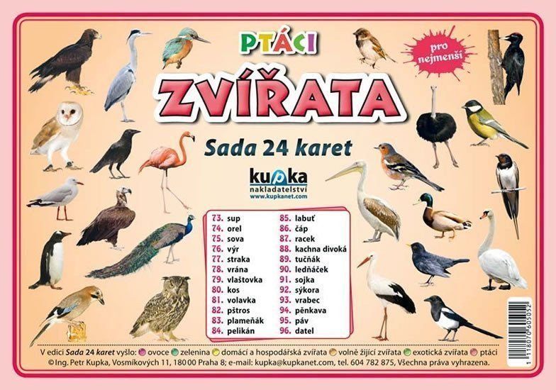 Ptáci zvířata - Sada 24 karet