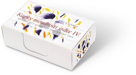 Kapky moudrosti srdce IV - karty – Chinmoy Sri