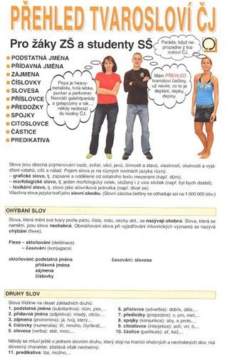 Přehled Tvarosloví ČJ - Pro žáky ZŠ a studenty SŠ – Bauer Alois