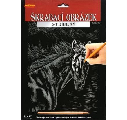 ArtLover Sada Škrabací obrázek - stříbrný 203 x 254 cmmix 3 motivů