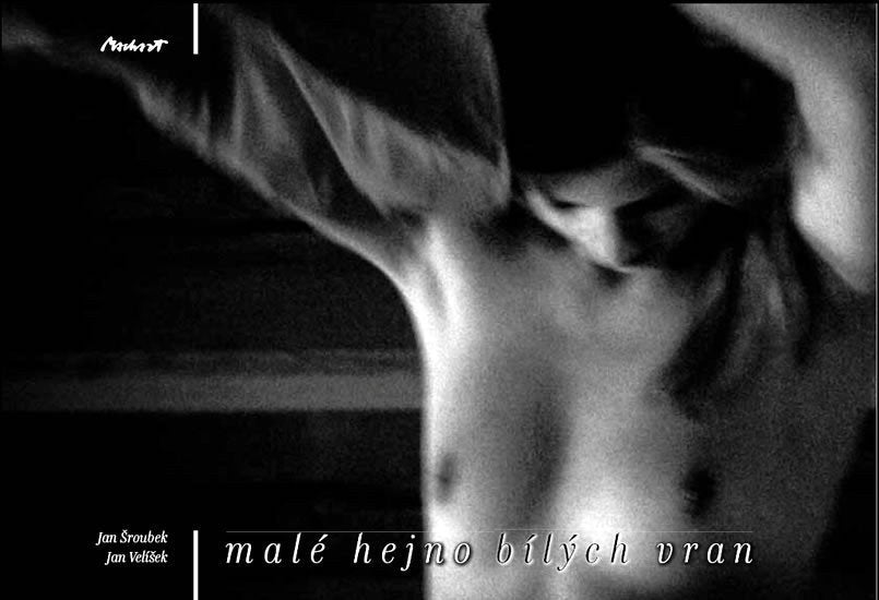 Malé hejno bílých vran – Šroubek Jan
