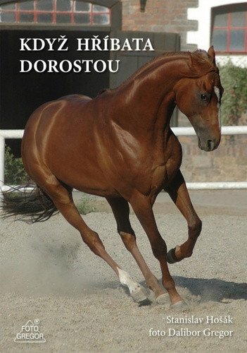 Když hříbata dorostou – Gregor Dalibor