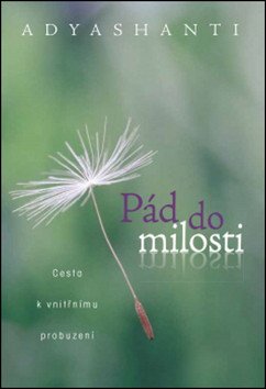 Pád do milosti - Cesta k vnitřnímu probuzení – Adyashanti