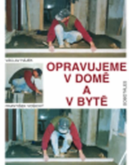 Opravujeme v domě a bytě – Hájek Václav