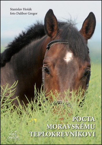 Pocta moravskému teplokrevníkovi – Gregor Dalibor