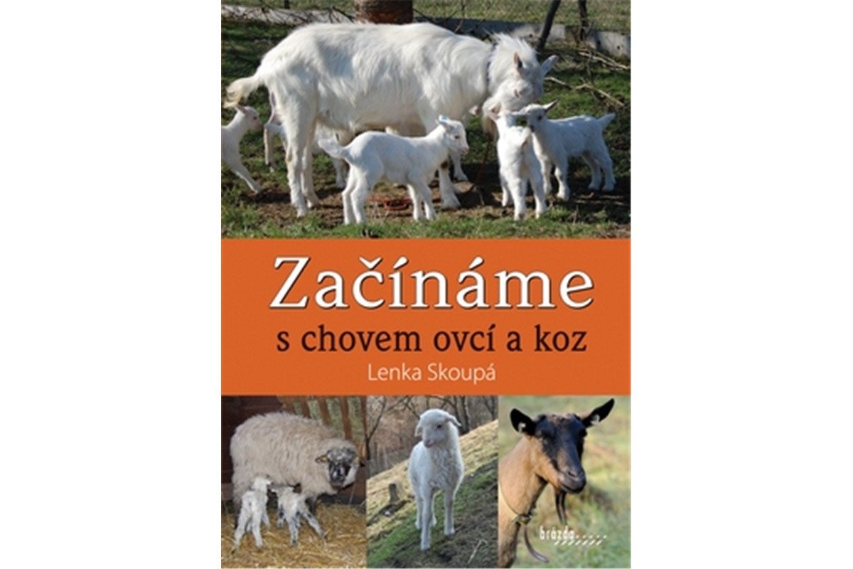 Začínáme s chovem ovcí a koz – Skoupá Lenka