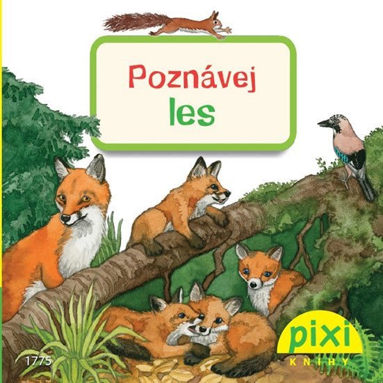 Poznávej les – Thörner Cordula