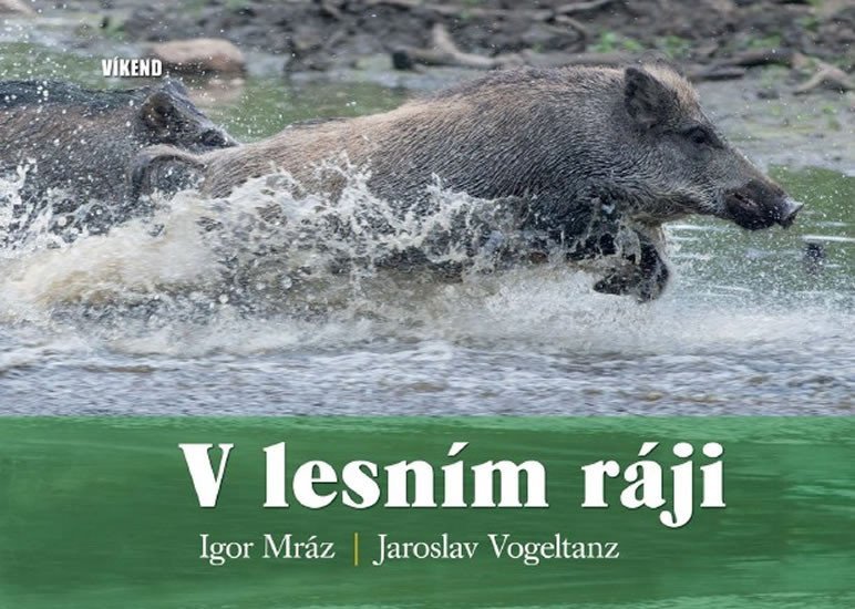 V lesním ráji – Mráz Igor