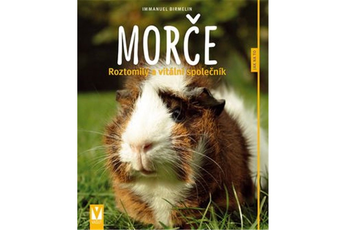 Morče - Roztomilý a vitální společník – Birmelin Immanuel