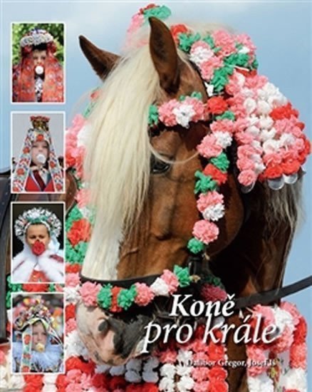 Koně pro krále – Gregor Dalibor