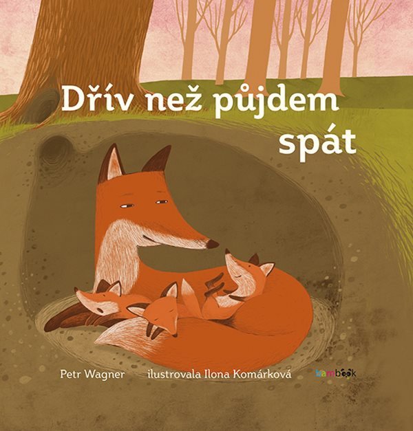 Dřív než půjdem spát – Wagner Petr