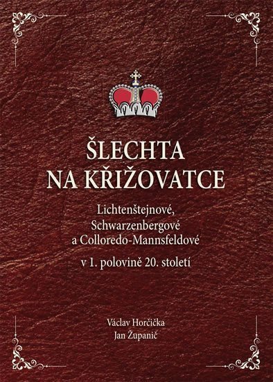 Šlechta na křižovatce - Lichtenštejnové Schwarzenbergové a Colloredo-Mannsfeldové v 1 polovině 20 století – Županič Jan