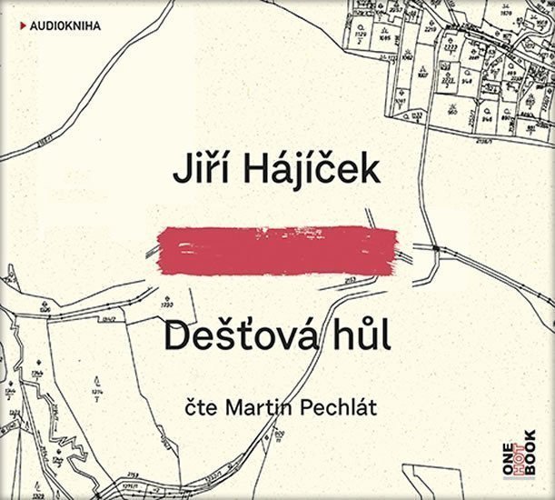 Dešťová hůl - CDmp3 Čte Martin Pechlát