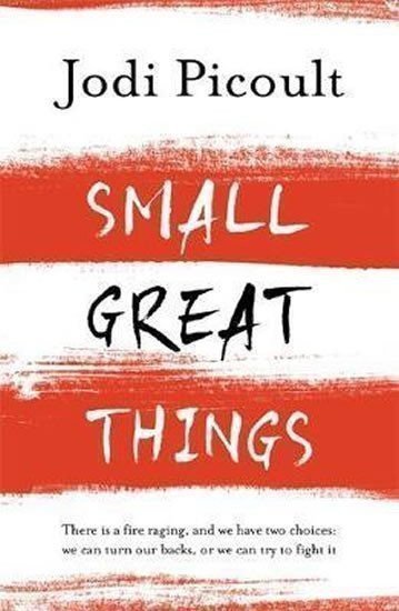 Small Great Things – Picoultová Jodi