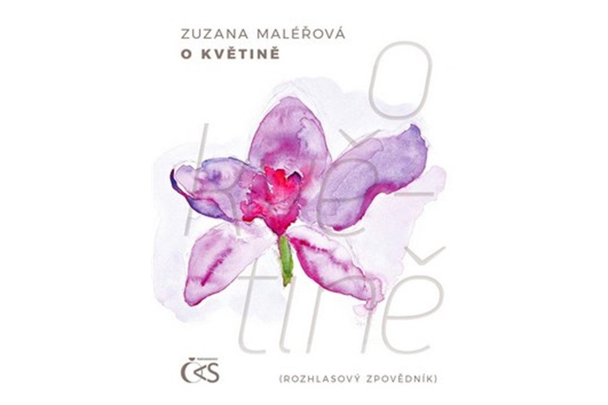 O květině – Maléřová Zuzana