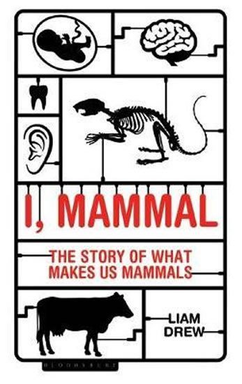 I Mammal The Story of What Makes Us Mammals – Drew Liam