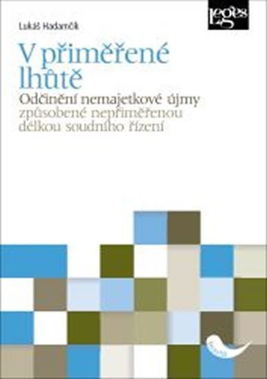 V přiměřené lhůtě - Odčinění nemajetkové újmy způsobené nepřiměřenou délkou soudního řízení – Hadamčík Lukáš