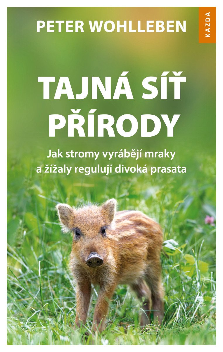 Tajná síť přírody - Jak stromy vyrábějí mraky a žížaly regulují divoká prasata – Wohlleben Peter