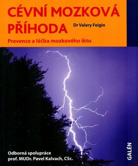 Cévní mozková příhoda – Feigin Valery