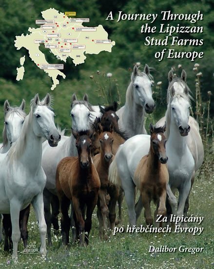 Za lipicány po hřebčínech Evropy A Journey Through the Lipizzan Stud Farms of Europe – Gregor Dalibor