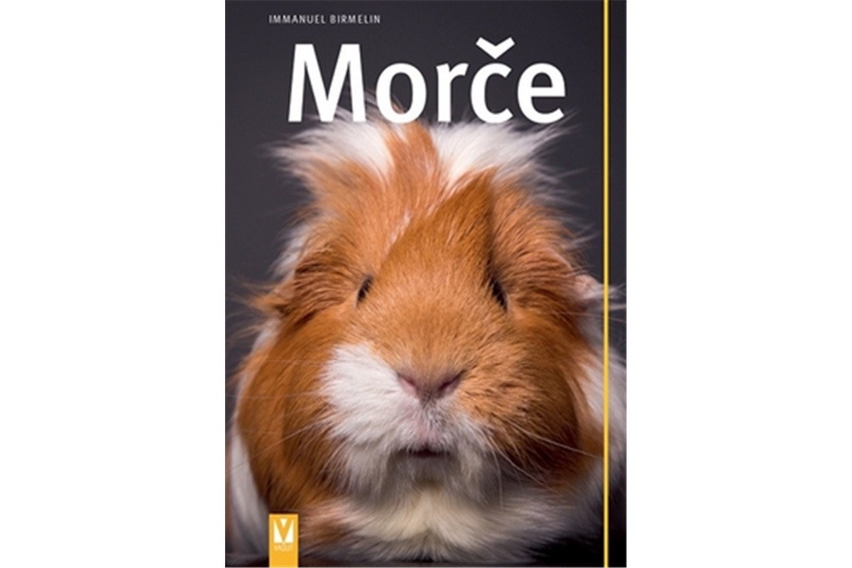 Morče – Birmelin Immanuel