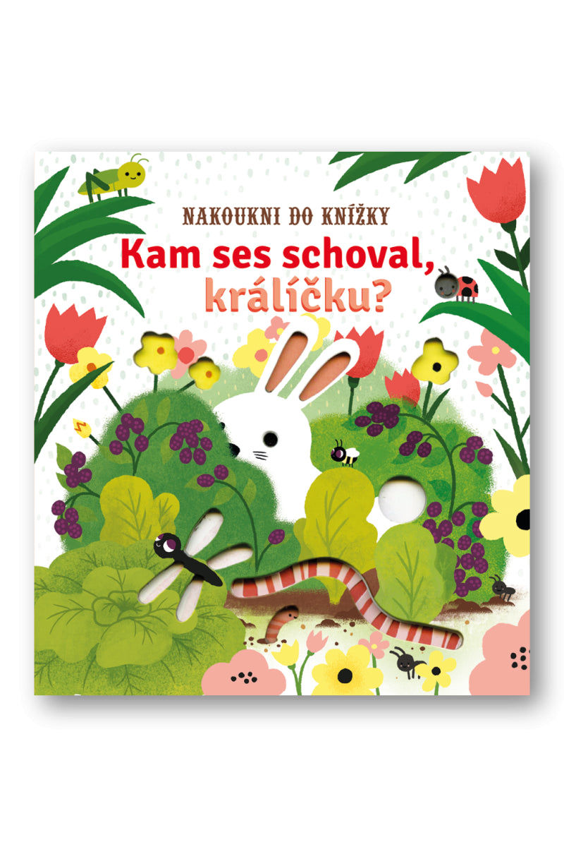 Kam ses schoval králíčku - Nakoukni do knížky