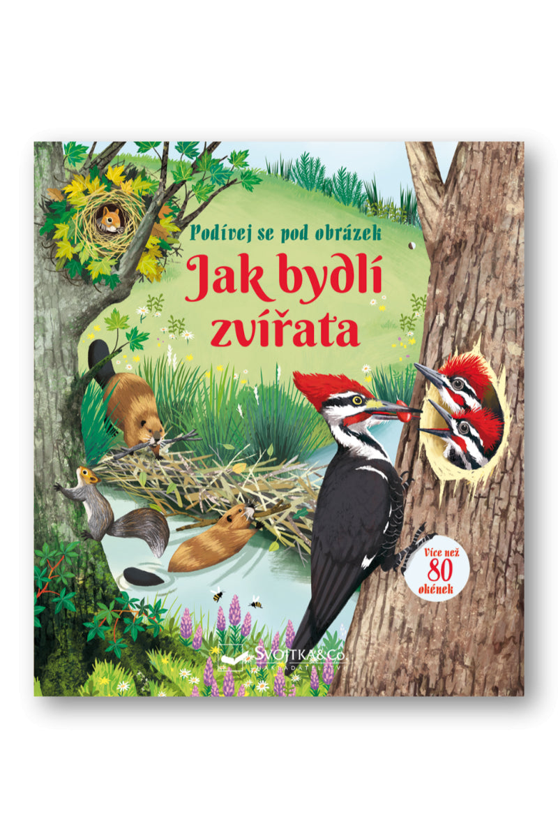 Jak bydlí zvířata - Podívej se pod obrázek – Bone Emily